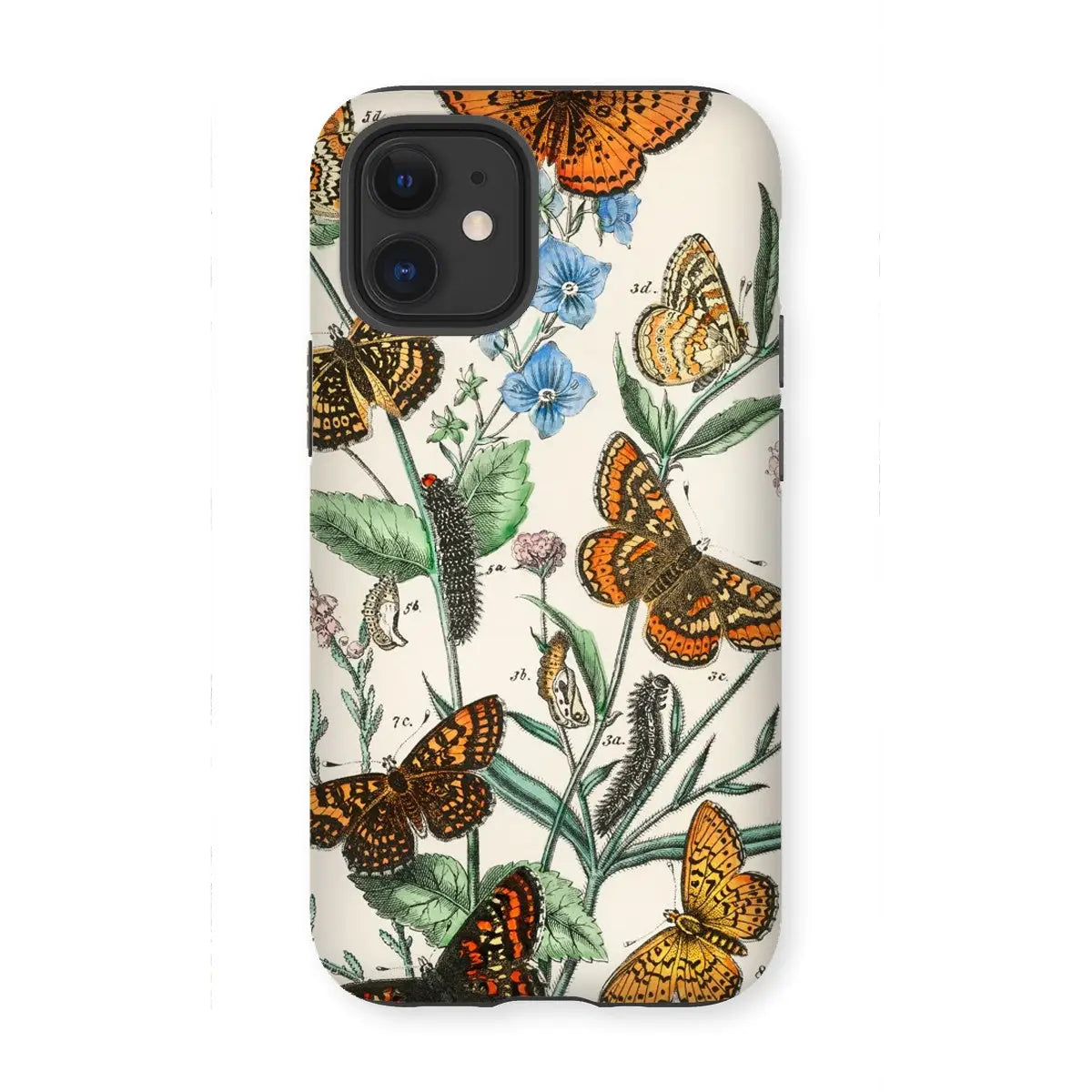 European Butterflies And Moths 2 Art Phone Case - William Forsell Kirby - Iphone 12 Mini / Matte - Mobile Phone Cases