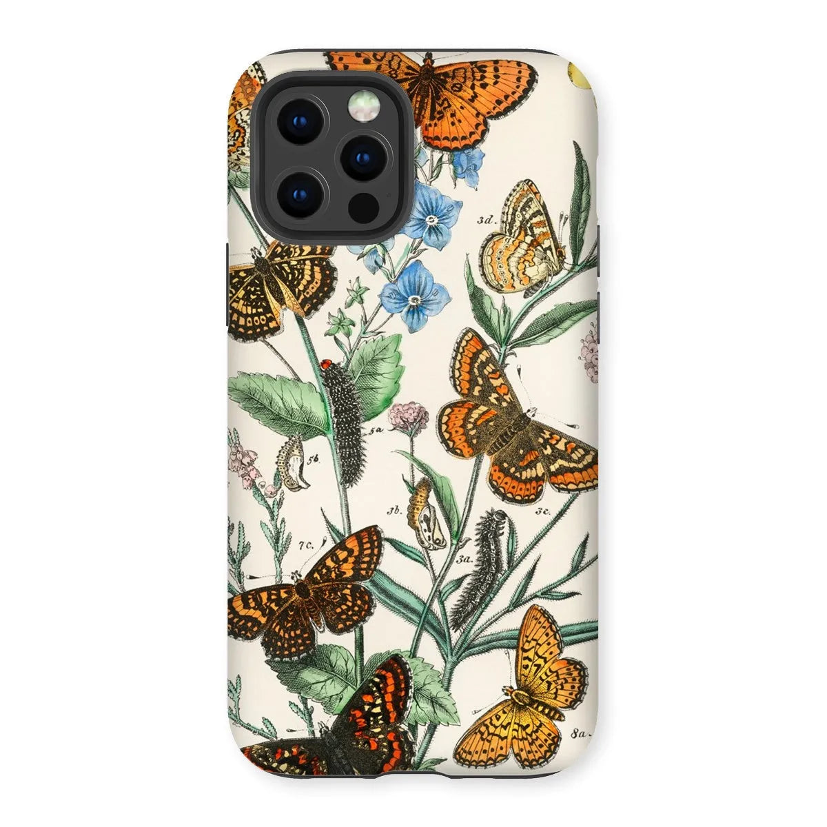 European Butterflies And Moths 2 Art Phone Case - William Forsell Kirby - Iphone 12 Pro / Matte - Mobile Phone Cases
