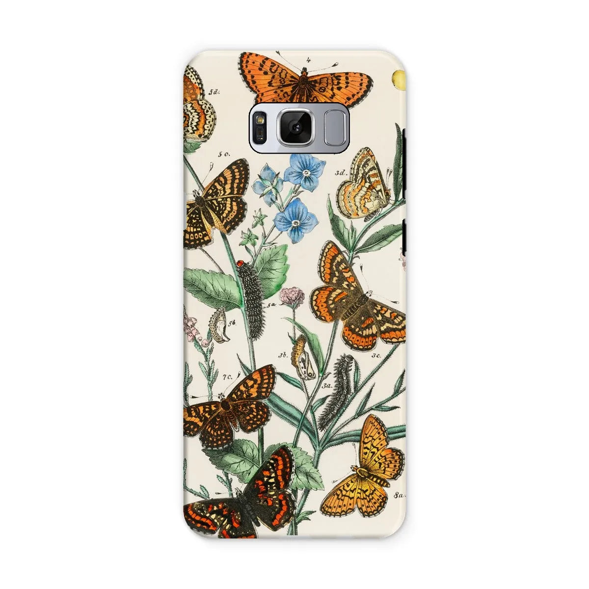 European Butterflies And Moths 2 Art Phone Case - William Forsell Kirby - Samsung Galaxy S8 / Matte - Mobile Phone