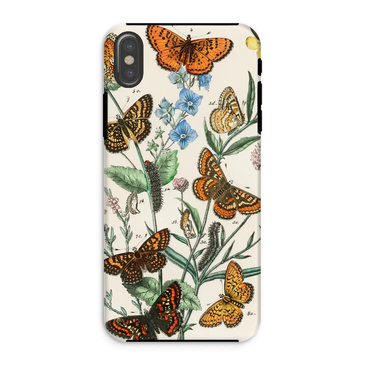 European Butterflies And Moths 2 Art Phone Case - William Forsell Kirby - Iphone Xs / Matte - Mobile Phone Cases