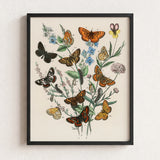 Framed Botanical Illustration Vibrant Array Butterflies Flowers Rich William Forsell Kirby, European, Kirby’s 19th-century Entomological