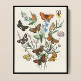 Framed Botanical Illustration Print Intricately Detailed Butterflies Vibrant William Forsell Kirby, European, Kirby’s 19th-century