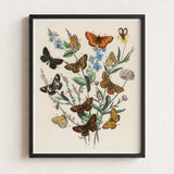 Framed Botanical Illustration Variety Butterflies Flowers Vibrant Orange William Forsell Kirby, European, Kirby’s 19th-century