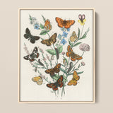Framed Botanical Illustration Print Vibrant Array Butterflies Flowers William Forsell Kirby, European, Kirby’s 19th-century Entomological