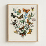 Framed Botanical Illustration Variety Butterflies Flowers Vibrant Colors William Forsell Kirby, European, Kirby’s 19th-century