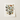 Botanical Illustration Print Collection Butterflies Flowers Detailed Vintage-style William Forsell Kirby, European, Kirby’s 19th-century