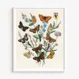 Framed Botanical Illustration Collection Colorful Butterflies Flowers Ornate William Forsell Kirby, European, Kirby’s 19th-century