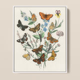 Framed Botanical Illustration Vibrant Array Butterflies Orange Black William Forsell Kirby, European, Kirby’s 19th-century Entomological