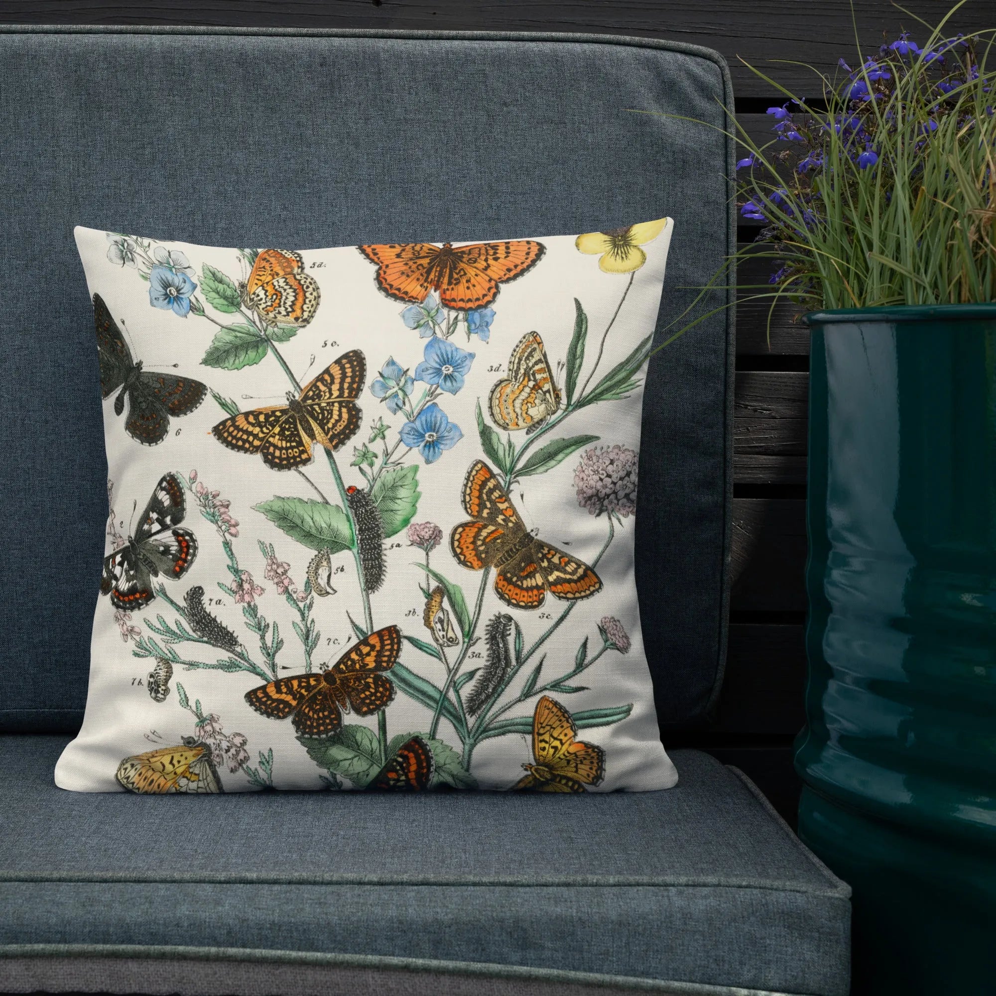 European Butterflies And Moths 2 By William Forsell Kirby Cushion - Throw Pillows - Aesthetic Art