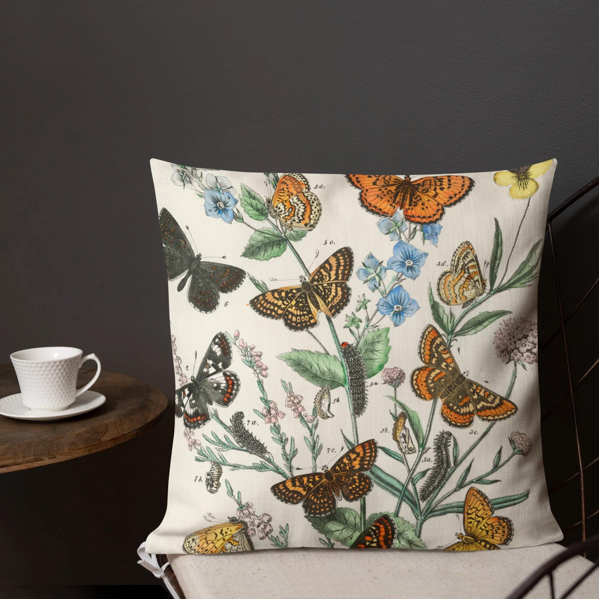 European Butterflies And Moths 2 - William Forsell Kirby Cushion - Throw Pillows - Aesthetic Art