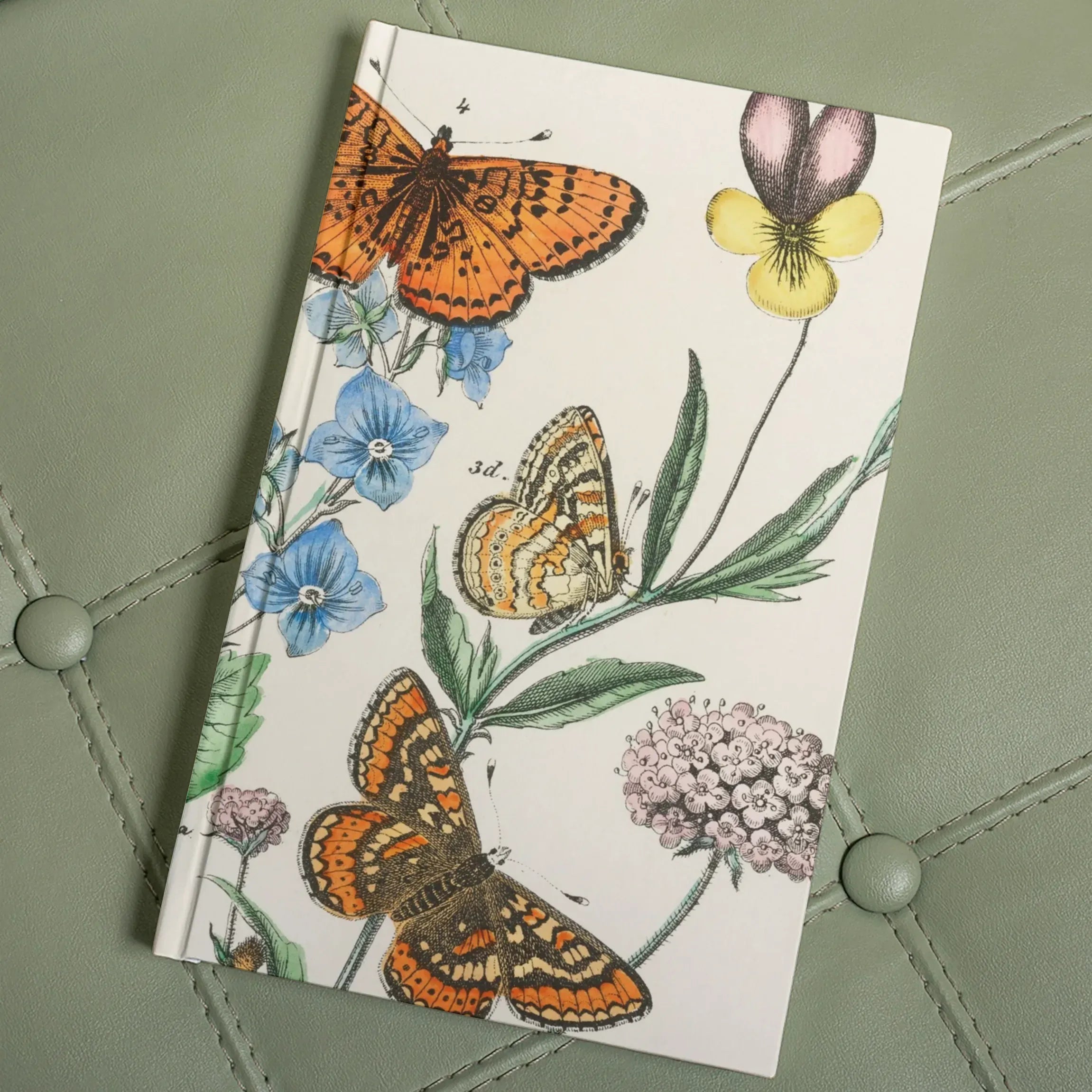 European Butterflies And Moths 2 - William Forsell Kirby Hardback Journal - Notebooks & Notepads - Aesthetic Art