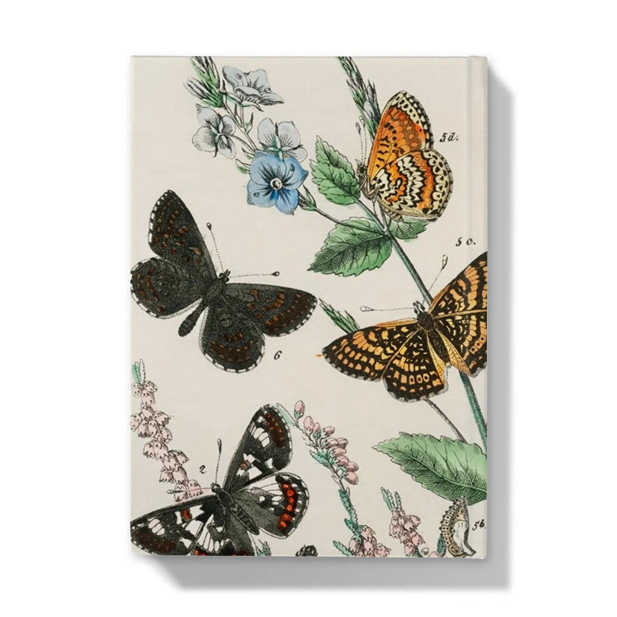 European Butterflies And Moths 2 By William Forsell Kirby Hardback Journal - Notebooks & Notepads - Aesthetic Art