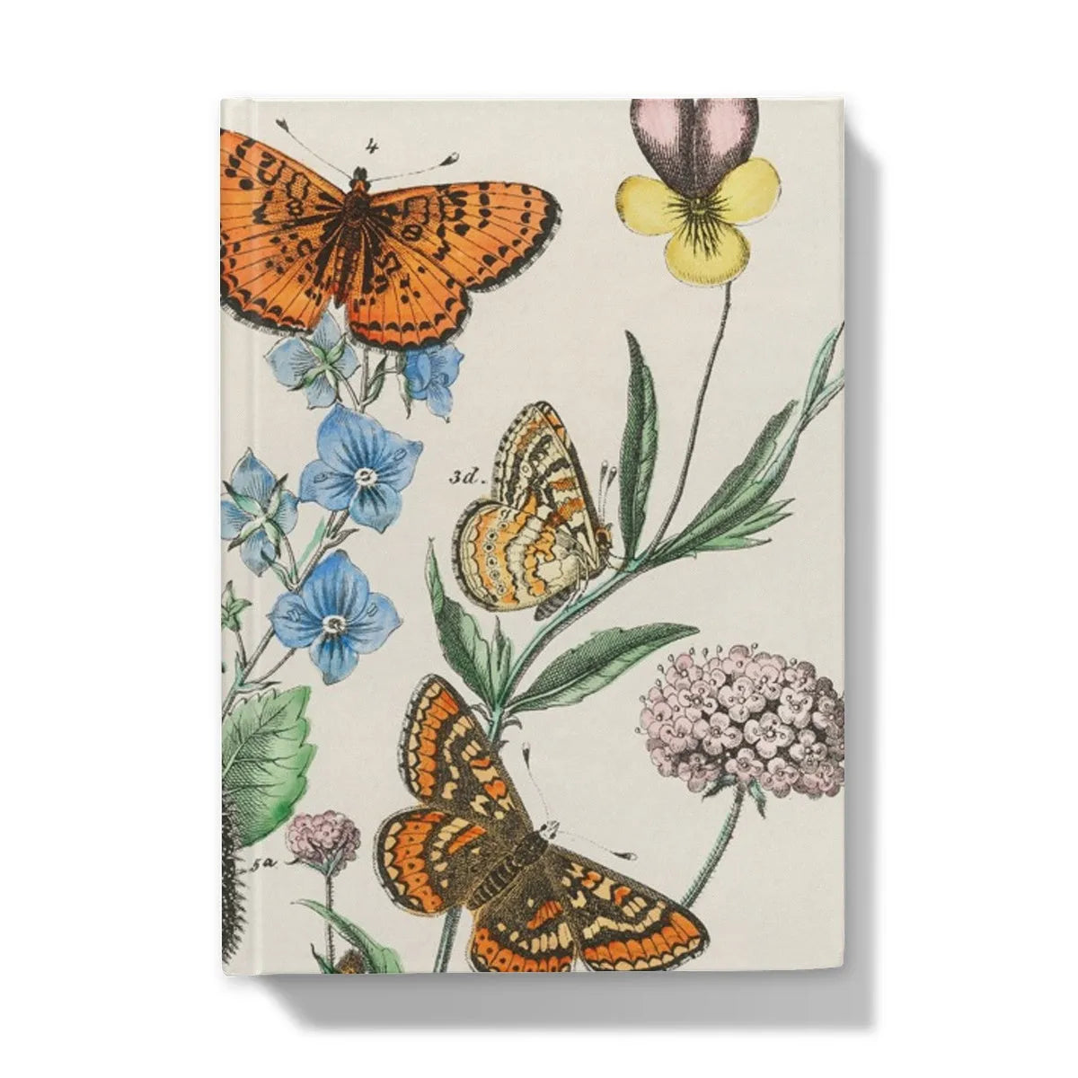European Butterflies And Moths 2 By William Forsell Kirby Hardback Journal - 5’x7’ / Lined - Notebooks & Notepads