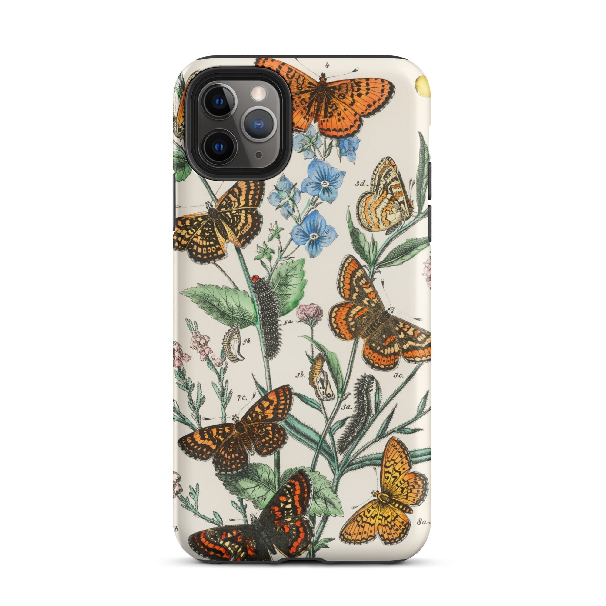 European Butterflies & Moths 2 William Forsell Kirby Iphone Case, 11 Pro Max / Matte, Butterfly Patterned Phone Case