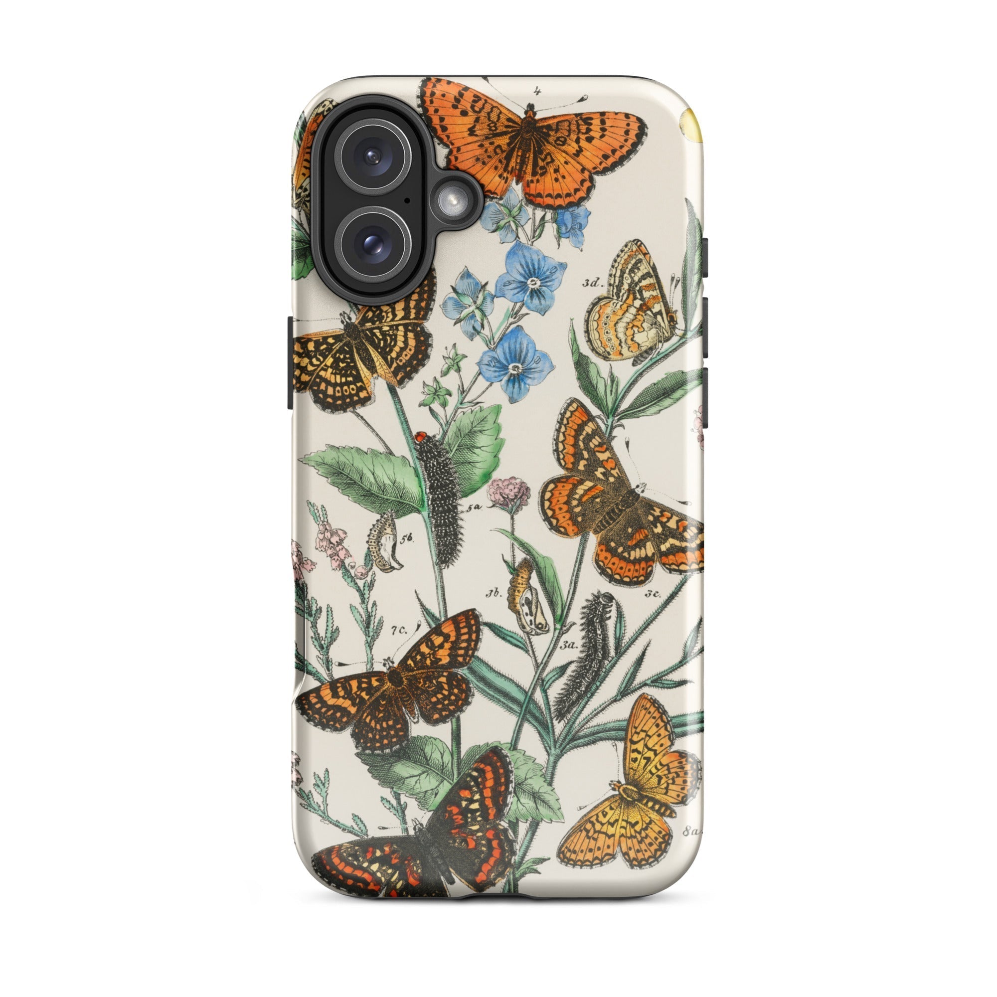 European Butterflies & Moths 2 William Forsell Kirby Iphone Case, 16 Plus / Matte, Butterfly Patterned Phone Case