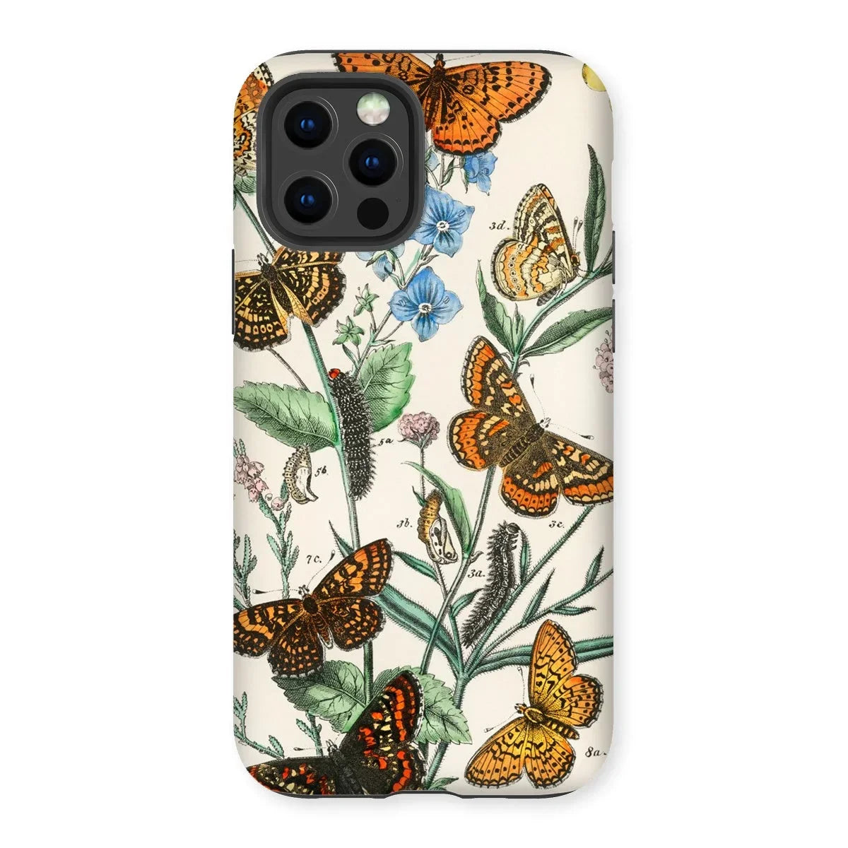 European Butterflies & Moths 2 - William Forsell Kirby Iphone Case, 12 Pro / Matte, Kite-713288648, Phone Case Vintage