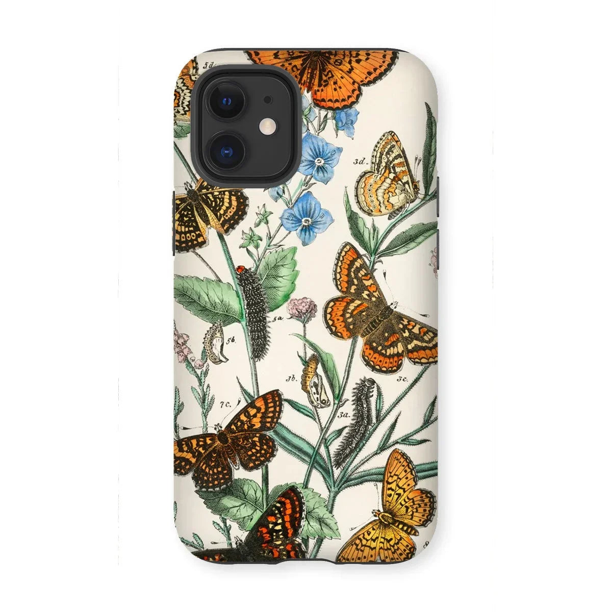 European Butterflies & Moths 2 - William Forsell Kirby Iphone Case, 12 Mini / Matte, Kite-713288646, Iphone Case