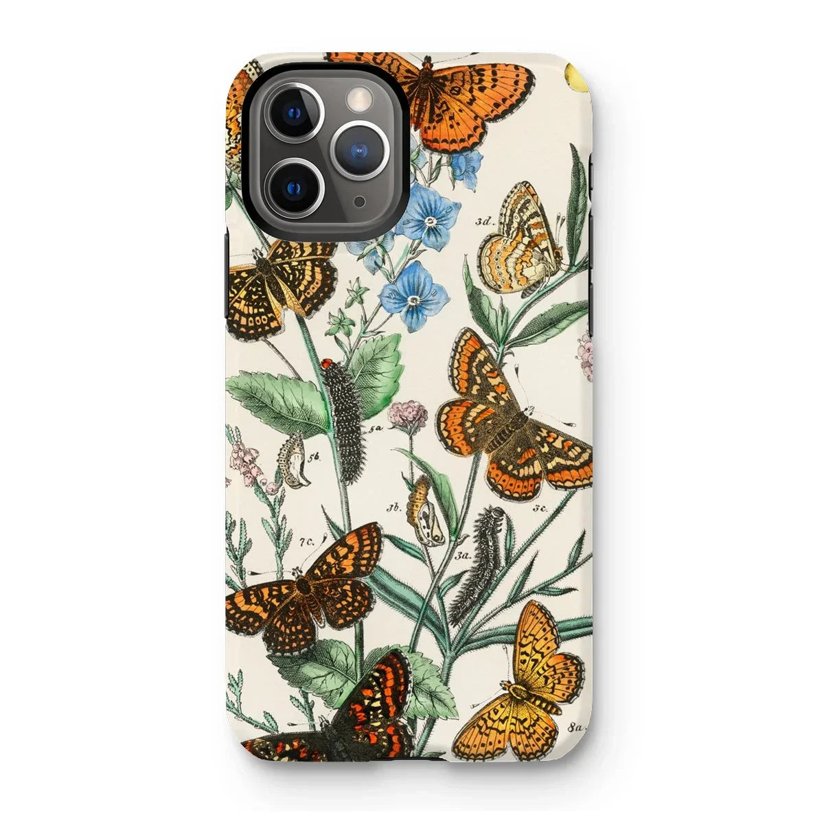 European Butterflies & Moths 2 - William Forsell Kirby Iphone Case, 11 Pro / Matte, Kite-713288640, Iphone Case Vintage