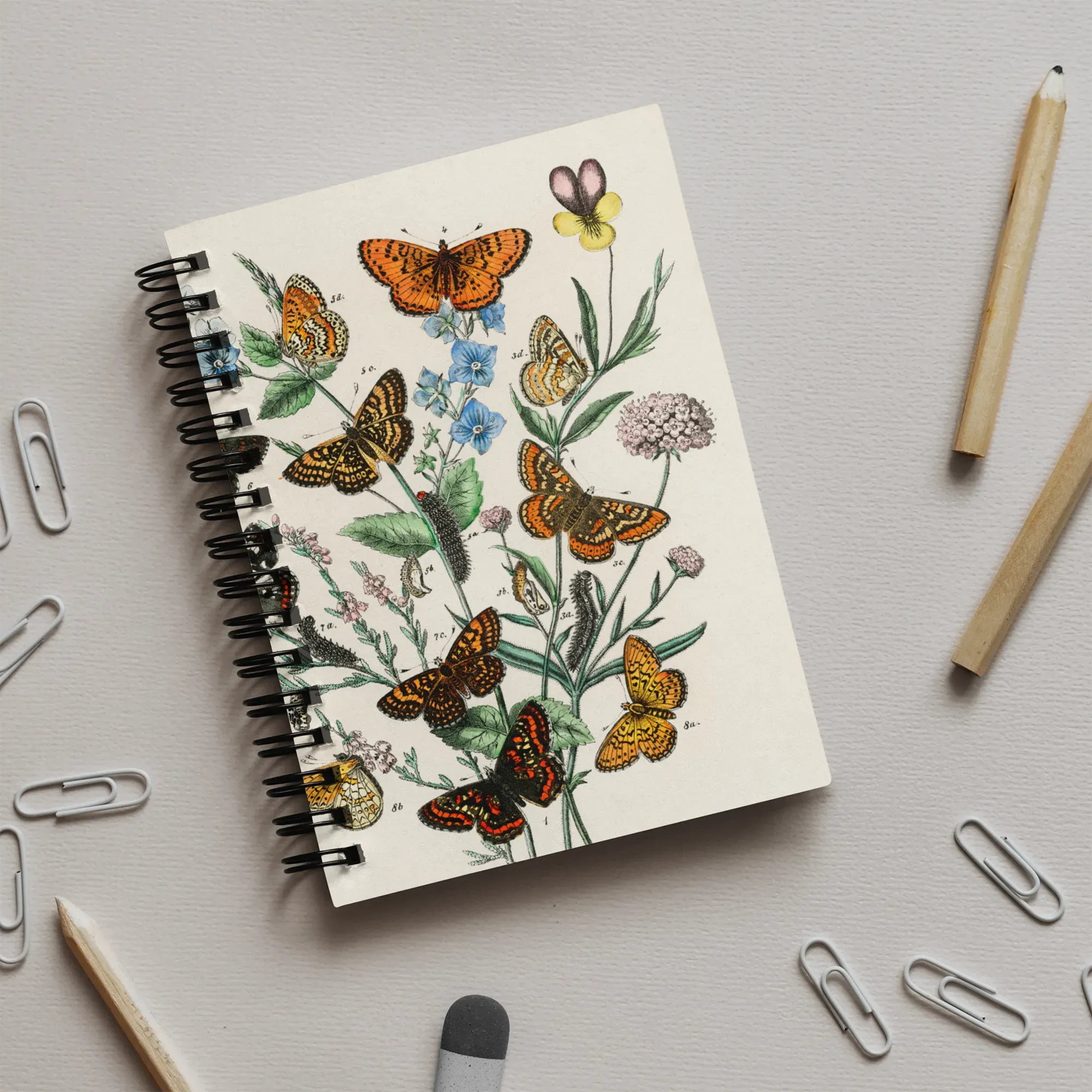 European Butterflies And Moths 2 - William Forsell Kirby Notebook - Notebooks & Notepads - Aesthetic Art