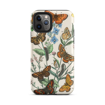 European Butterflies & Moths 2 - William Forsell Kirby Phone Case Iphone 11 Pro / Matte Butterfly-patterned Phone Case William Forsell