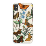 European Butterflies & Moths 2 - William Forsell Kirby Phone Case Iphone Xs / Matte Phone Case Vintage Botanical Illustration Butterflies