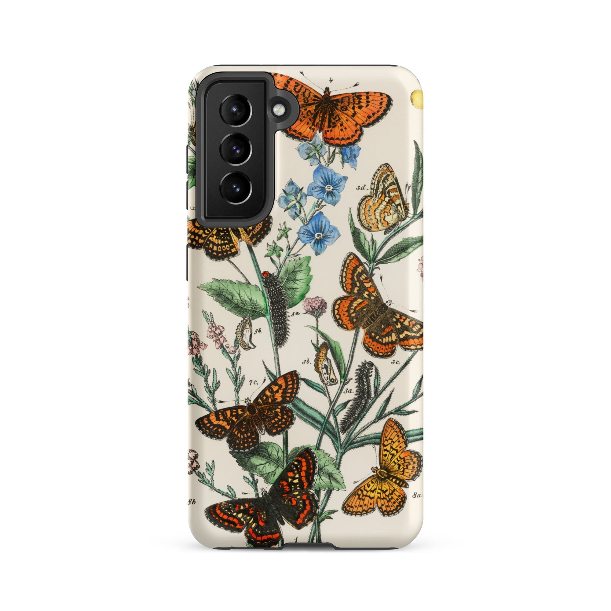 European Butterflies & Moths 2 William Forsell Kirby Samsung Case, Galaxy S21 Fe / Matte, Smartphone Case Vintage Style Botanical