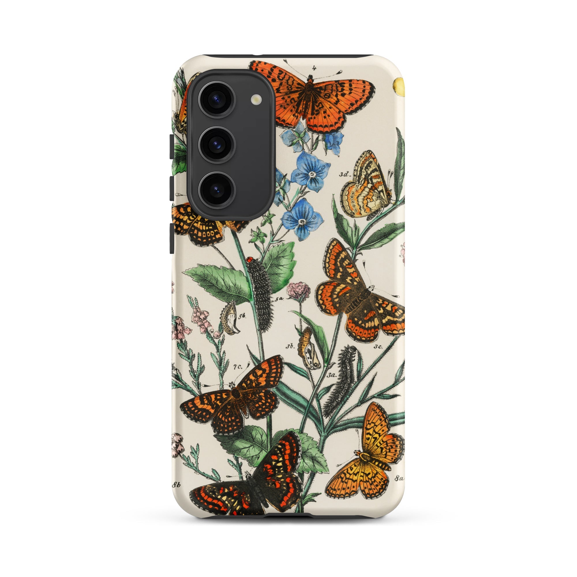 European Butterflies & Moths 2 William Forsell Kirby Samsung Case, Galaxy S23 Plus / Matte, Smartphone Case Vintage Botanical Illustration