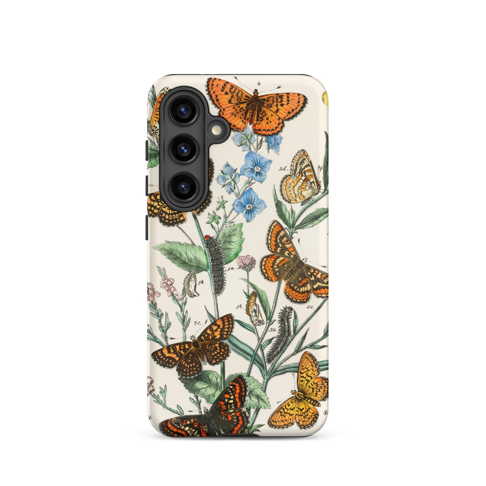 European Butterflies & Moths 2 William Forsell Kirby Samsung Case, Galaxy S24 / Matte, White Smartphone Case Vibrant Butterfly Floral