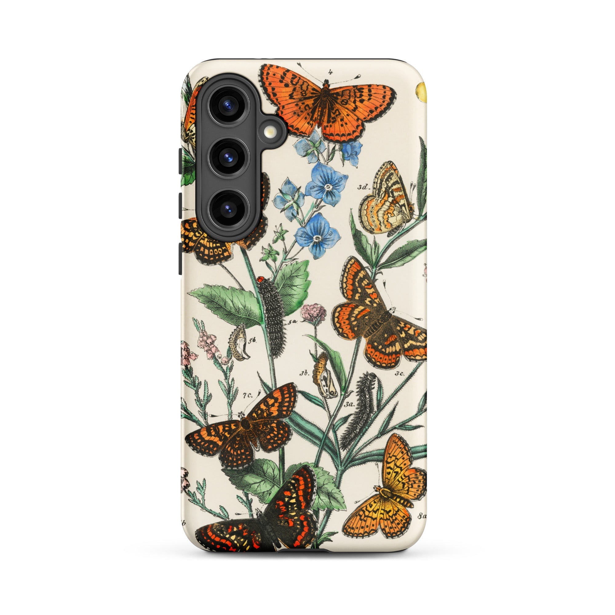 European Butterflies & Moths 2 William Forsell Kirby Samsung Case, Galaxy S24 Plus / Matte, Smartphone Case Vintage Style Botanical