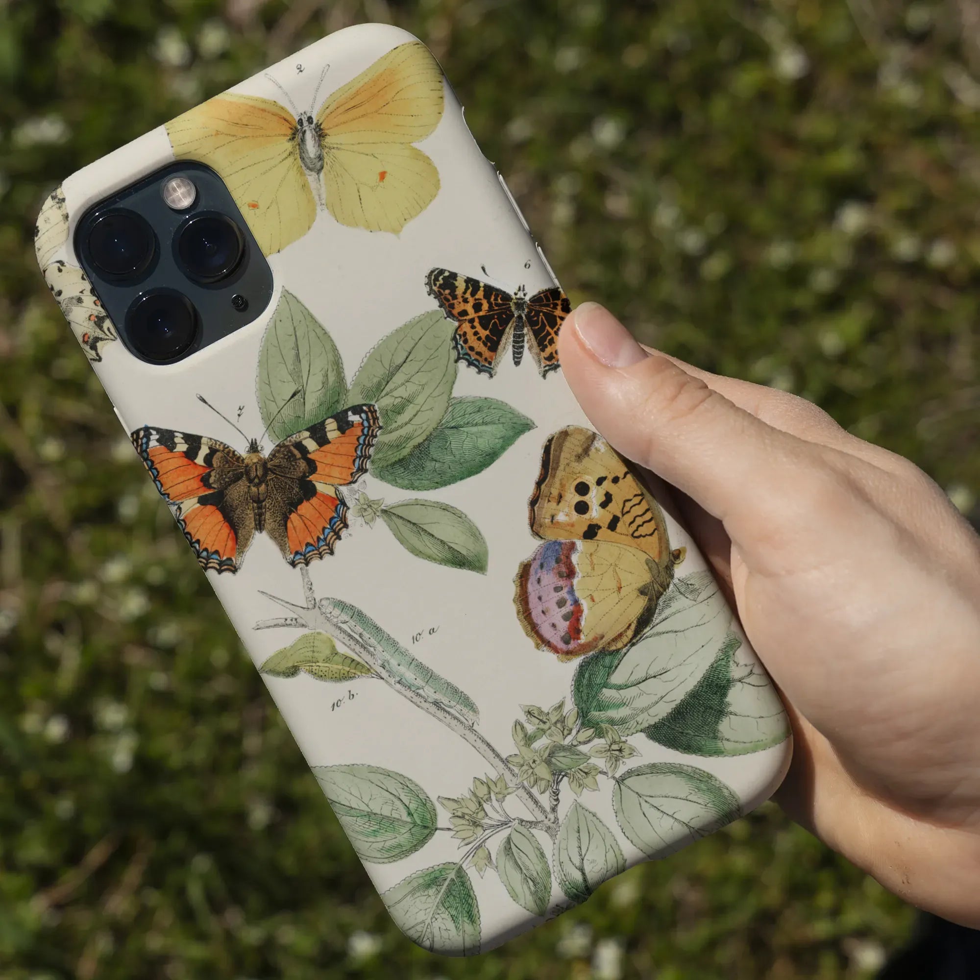 European Butterflies And Moths 3 Art Phone Case - William Forsell Kirby - Mobile Phone Cases - Aesthetic Art