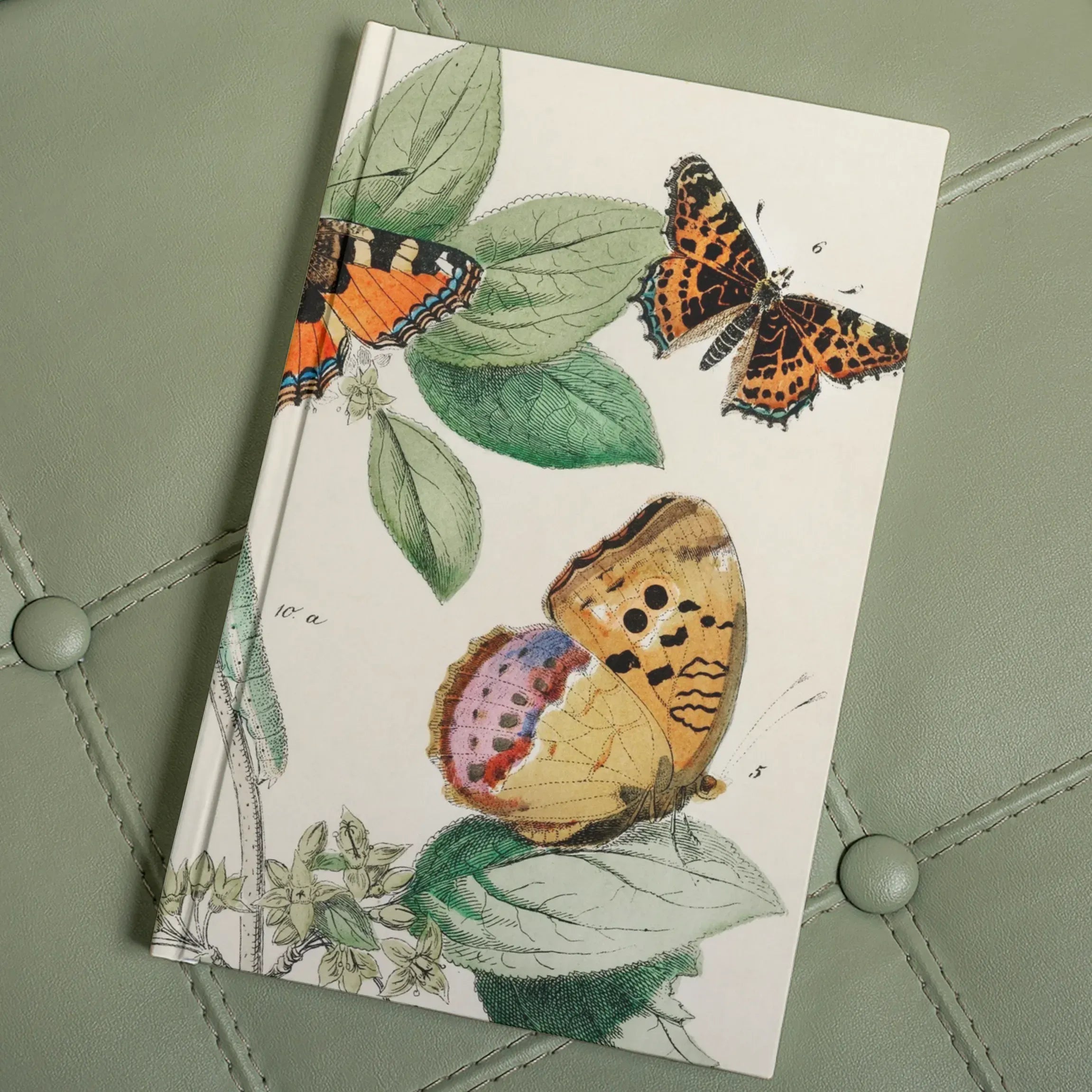 European Butterflies And Moths 3 - William Forsell Kirby Hardback Journal - Notebooks & Notepads - Aesthetic Art