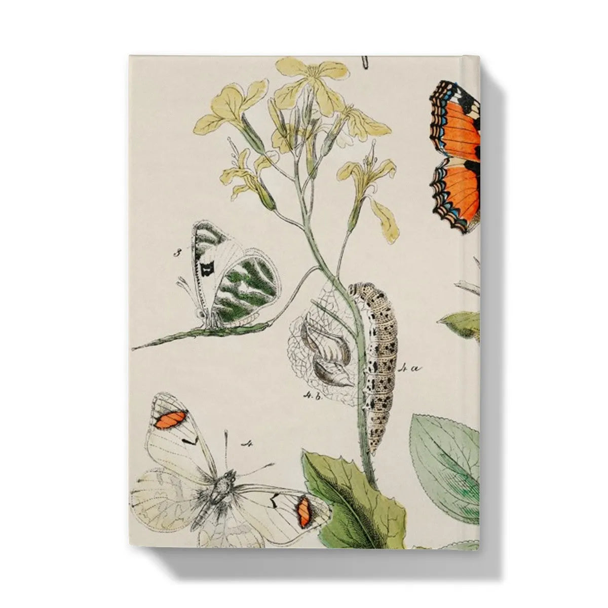 European Butterflies And Moths 3 By William Forsell Kirby Hardback Journal - Notebooks & Notepads - Aesthetic Art