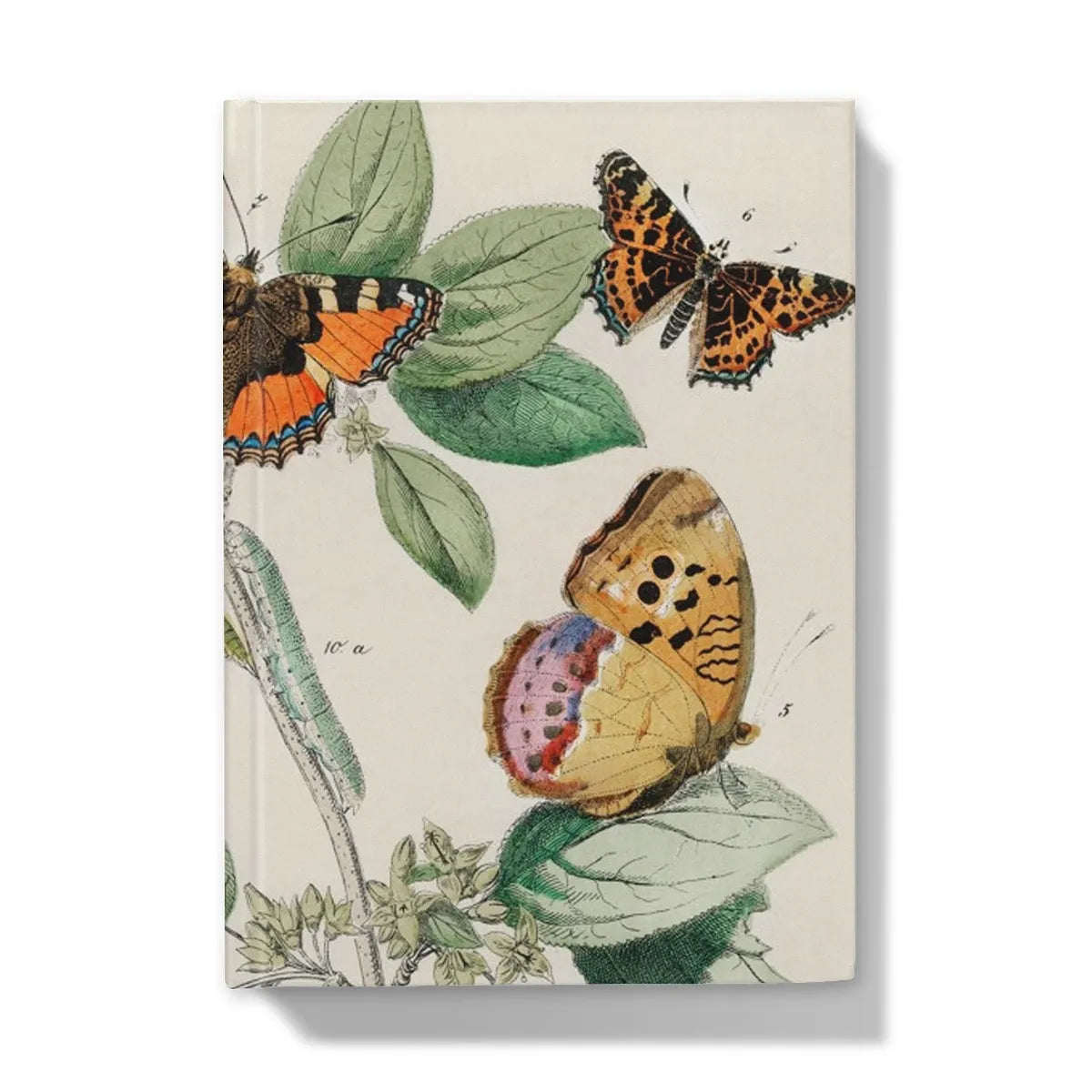 European Butterflies And Moths 3 By William Forsell Kirby Hardback Journal - 5’x7’ / Lined - Notebooks & Notepads