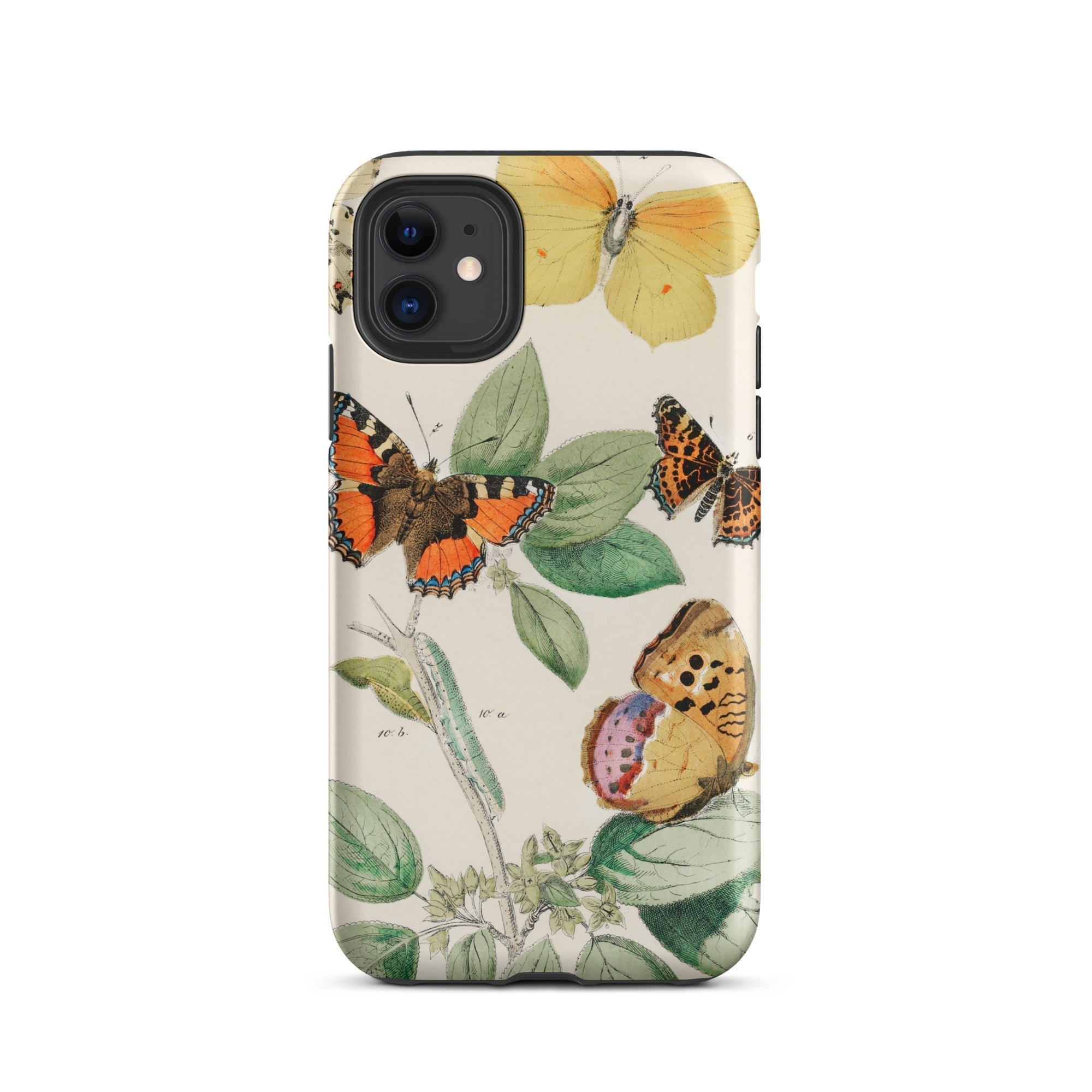 European Butterflies & Moths 3 William Forsell Kirby Iphone Case, 11 / Matte, Butterfly Themed Phone Case