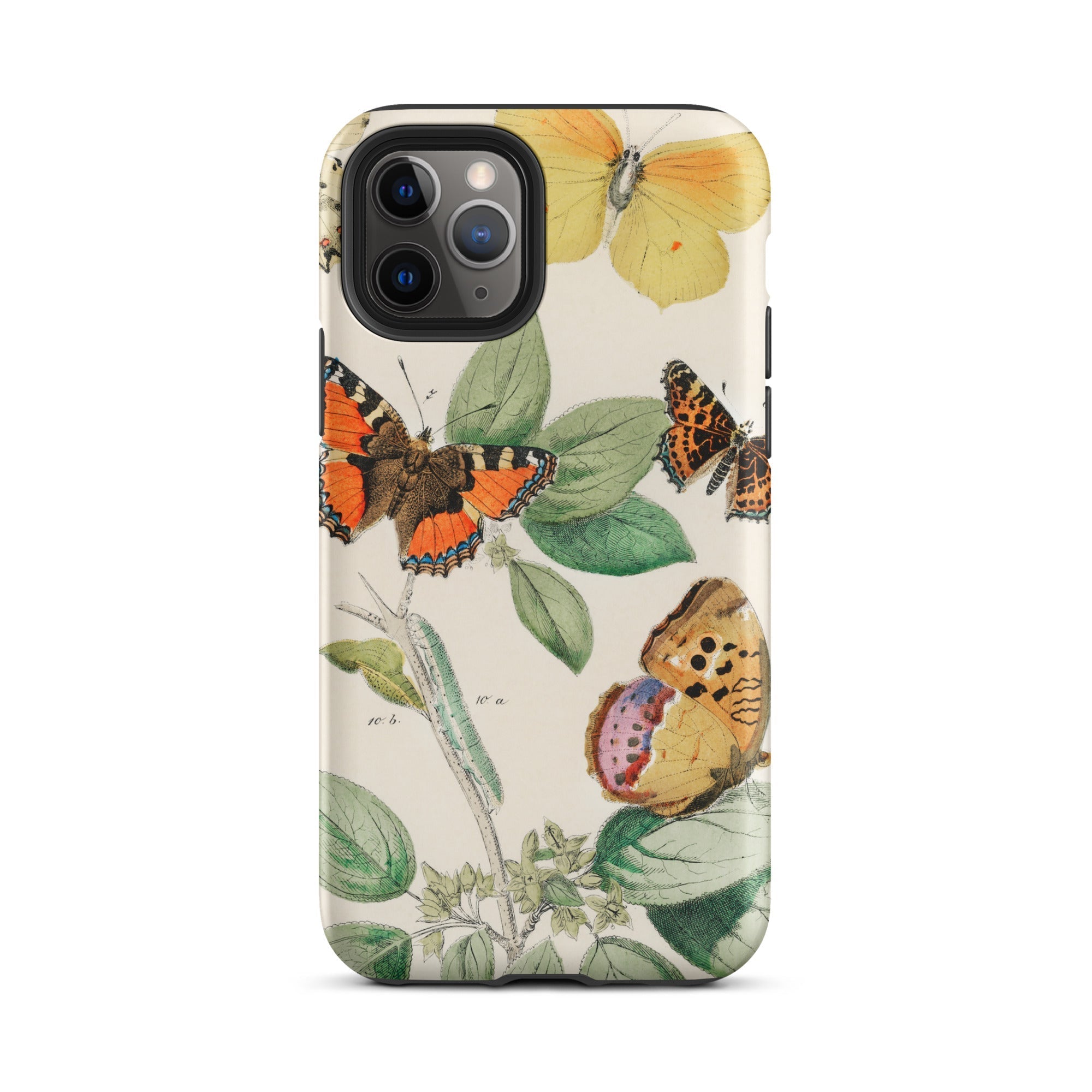 European Butterflies & Moths 3 William Forsell Kirby Iphone Case, 11 Pro / Matte, Butterfly Themed Phone Case