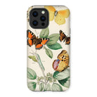 European Butterflies & Moths 3 - William Forsell Kirby Iphone Case, 12 Pro Max / Matte, Phone Case Vintage Botanical Illustration