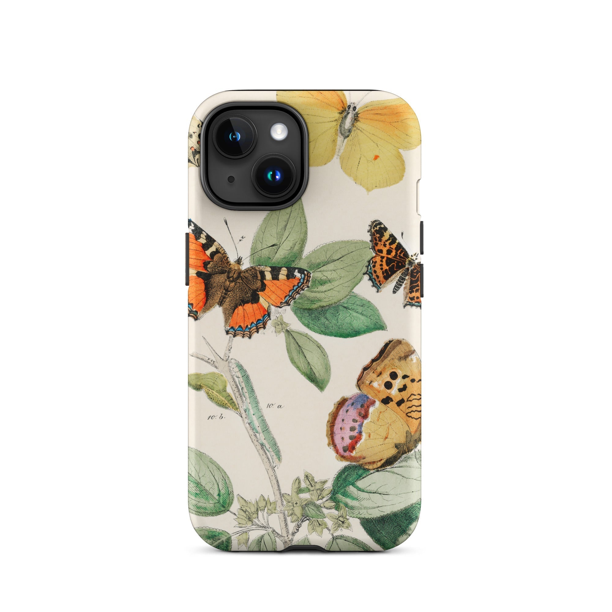 European Butterflies & Moths 3 William Forsell Kirby Iphone Case, 15 / Matte, Butterfly Themed Phone Case