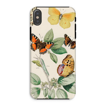 European Butterflies & Moths 3 - William Forsell Kirby Iphone Case, Xs / Matte, Phone Case Vintage Botanical Butterfly Print Design