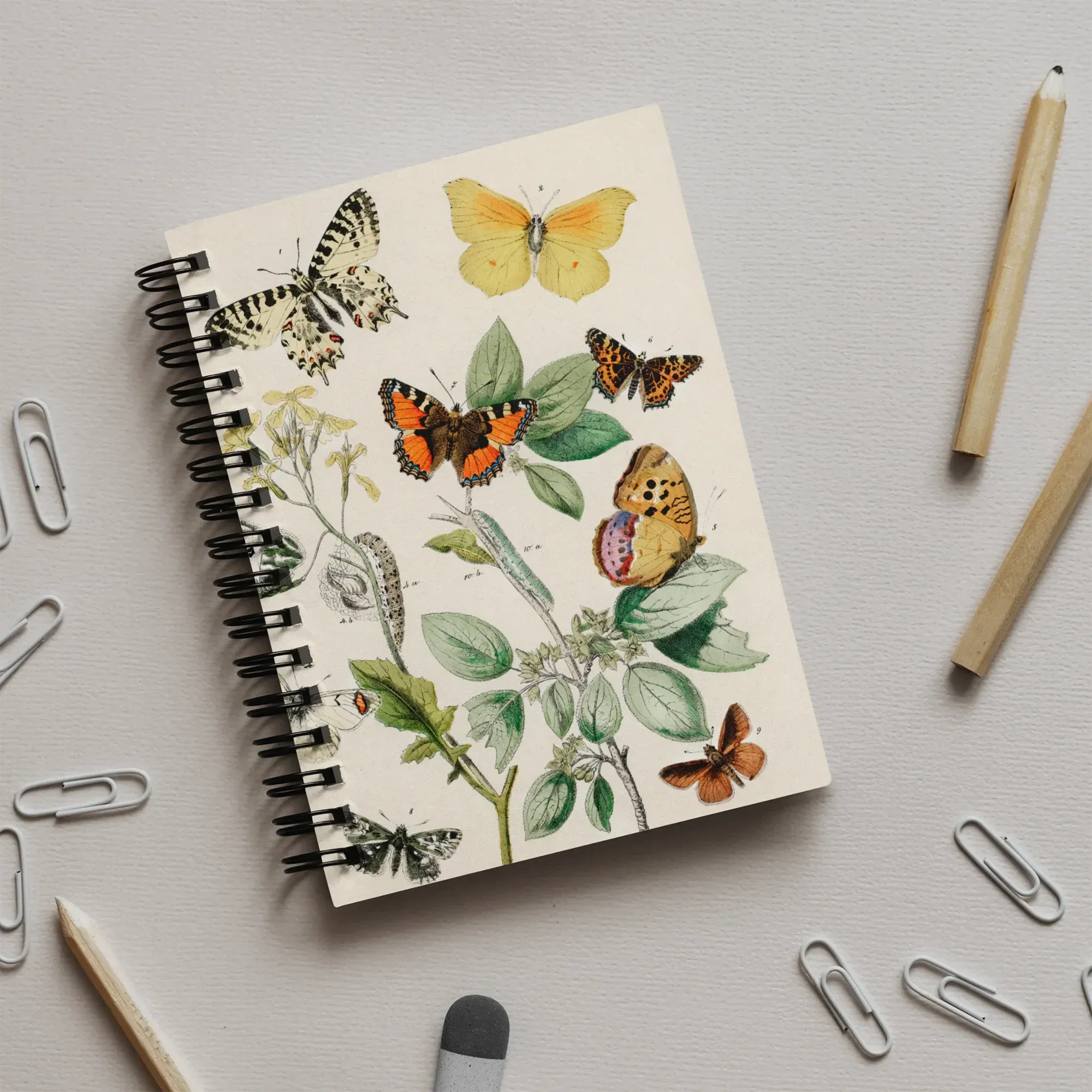 European Butterflies And Moths 3 - William Forsell Kirby Notebook - Notebooks & Notepads - Aesthetic Art