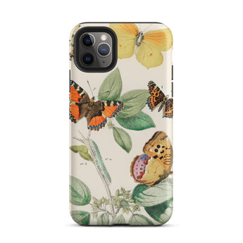 European Butterflies & Moths 3 - William Forsell Kirby Phone Case Iphone 11 Pro Max / Matte Butterfly-patterned Phone Case William Forsell