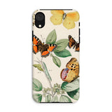 European Butterflies & Moths 3 - William Forsell Kirby Phone Case Iphone Xr / Matte Phone Case Vintage Botanical Butterfly Print Design