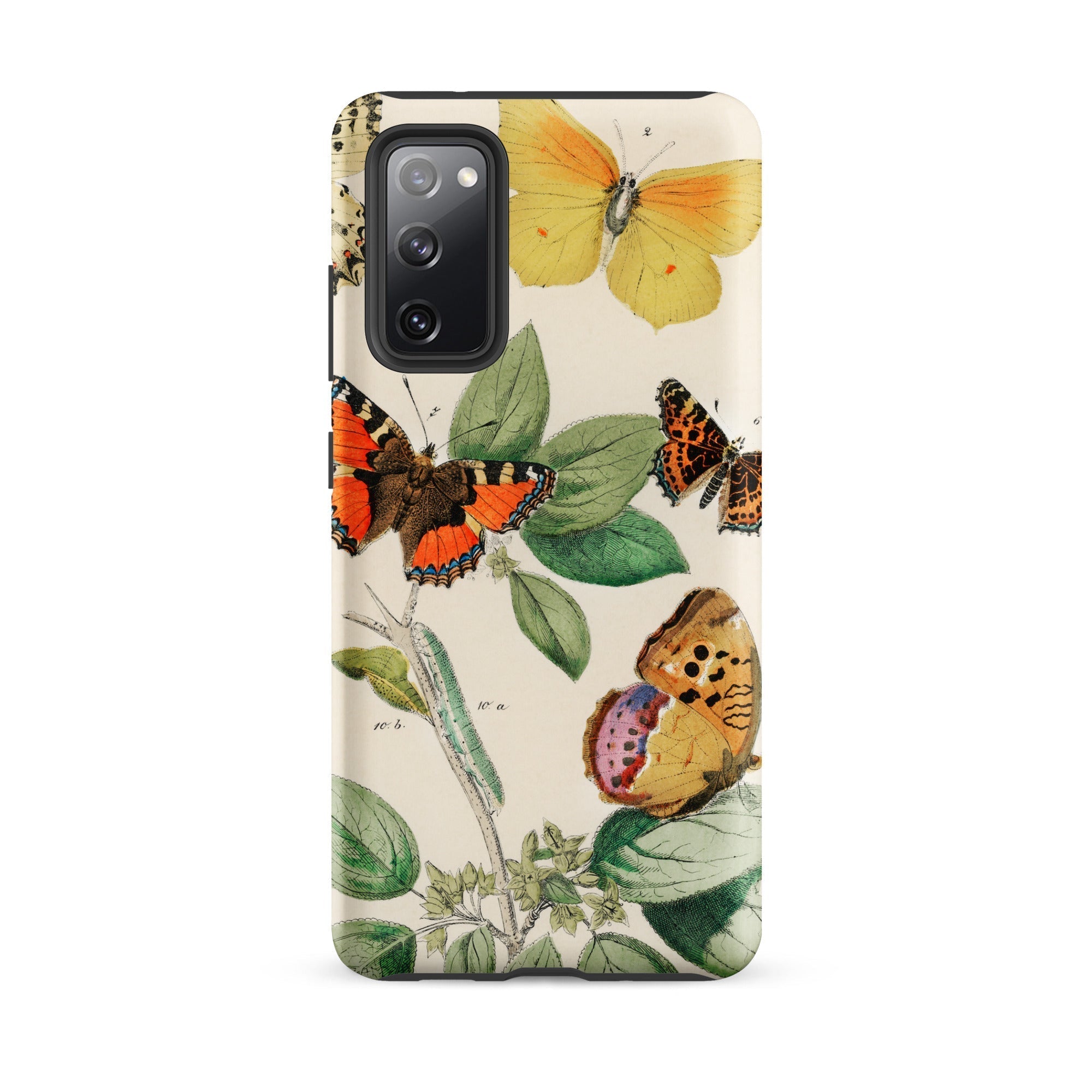 European Butterflies & Moths 3 William Forsell Kirby Samsung Case, Galaxy S20 Fe / Matte, White Phone Case Vibrant Butterfly Foliage Design