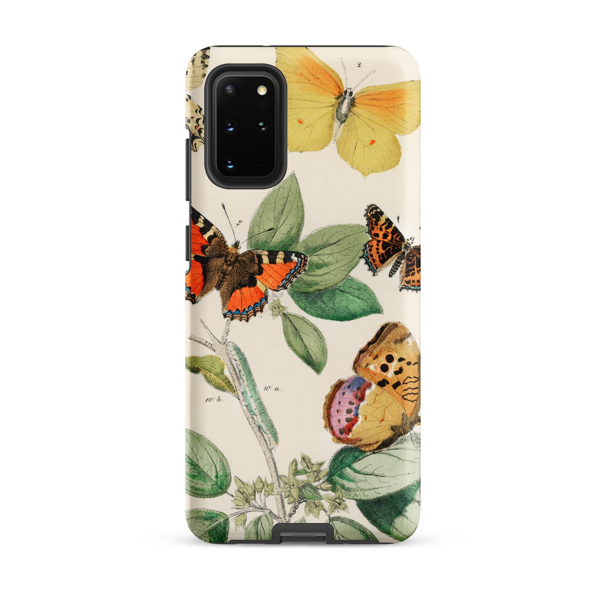 European Butterflies & Moths 3 William Forsell Kirby Samsung Case, Galaxy S20 Plus / Matte, Phone Case Adorned Colorful Butterfly Botanical