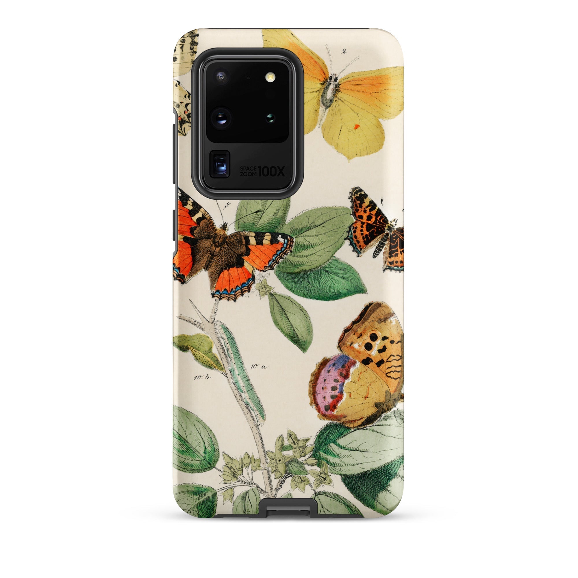 European Butterflies & Moths 3 William Forsell Kirby Samsung Case, Galaxy S20 Ultra / Matte, Phone Case Adorned Vibrant Butterfly Foliage