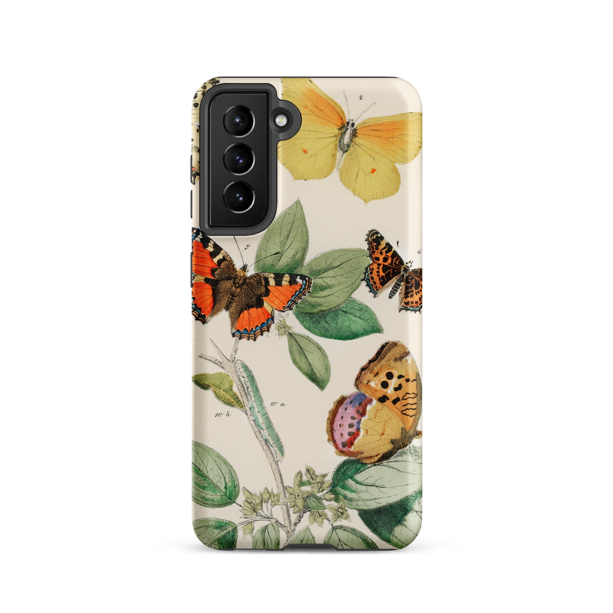 European Butterflies & Moths 3 William Forsell Kirby Samsung Case, Galaxy S21 / Matte, White Smartphone Case Colorful Butterfly Botanical