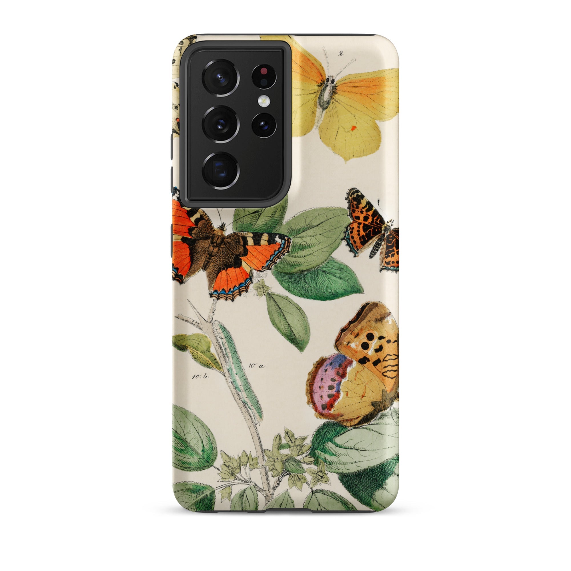 European Butterflies & Moths 3 William Forsell Kirby Samsung Case, Galaxy S21 Ultra / Matte, Smartphone Case Vintage Butterfly Botanical