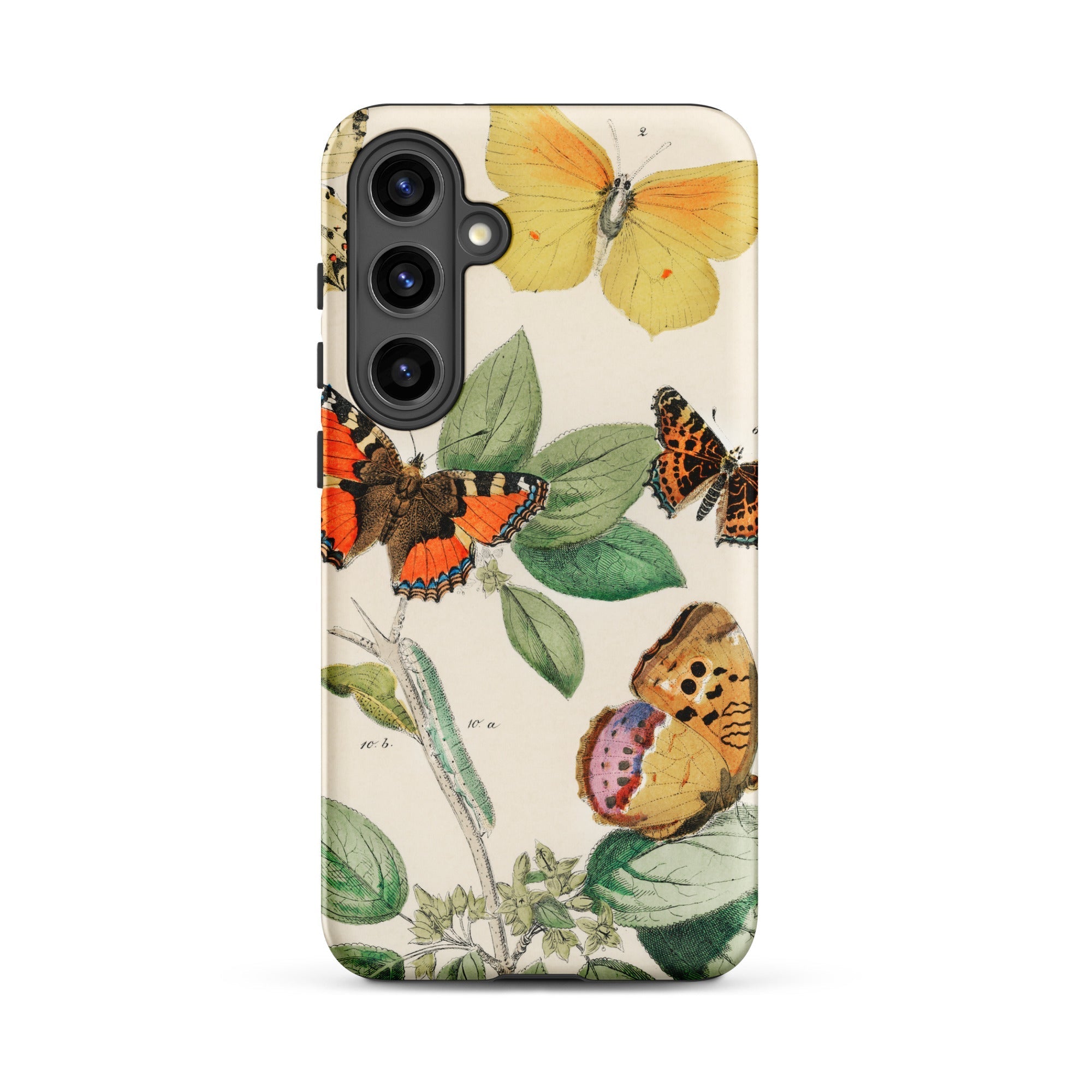 European Butterflies & Moths 3 William Forsell Kirby Samsung Case, Galaxy S24 Plus / Matte, White Phone Case Colorful Butterfly Botanical