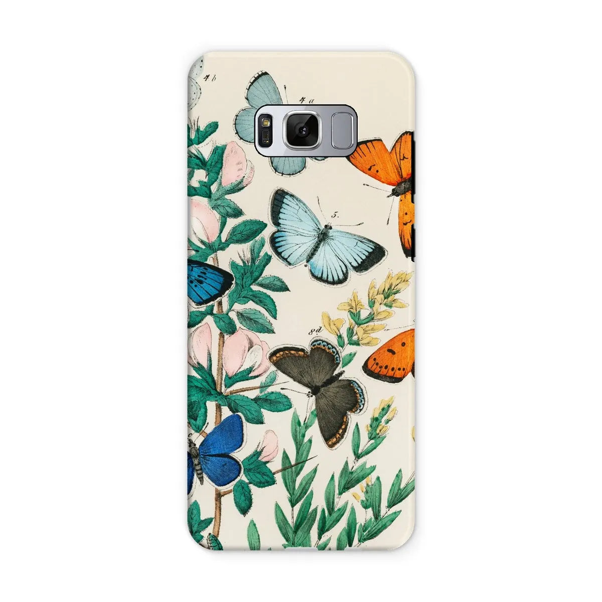 European Butterflies And Moths Art Phone Case - William Forsell Kirby - Samsung Galaxy S8 / Matte - Mobile Phone Cases