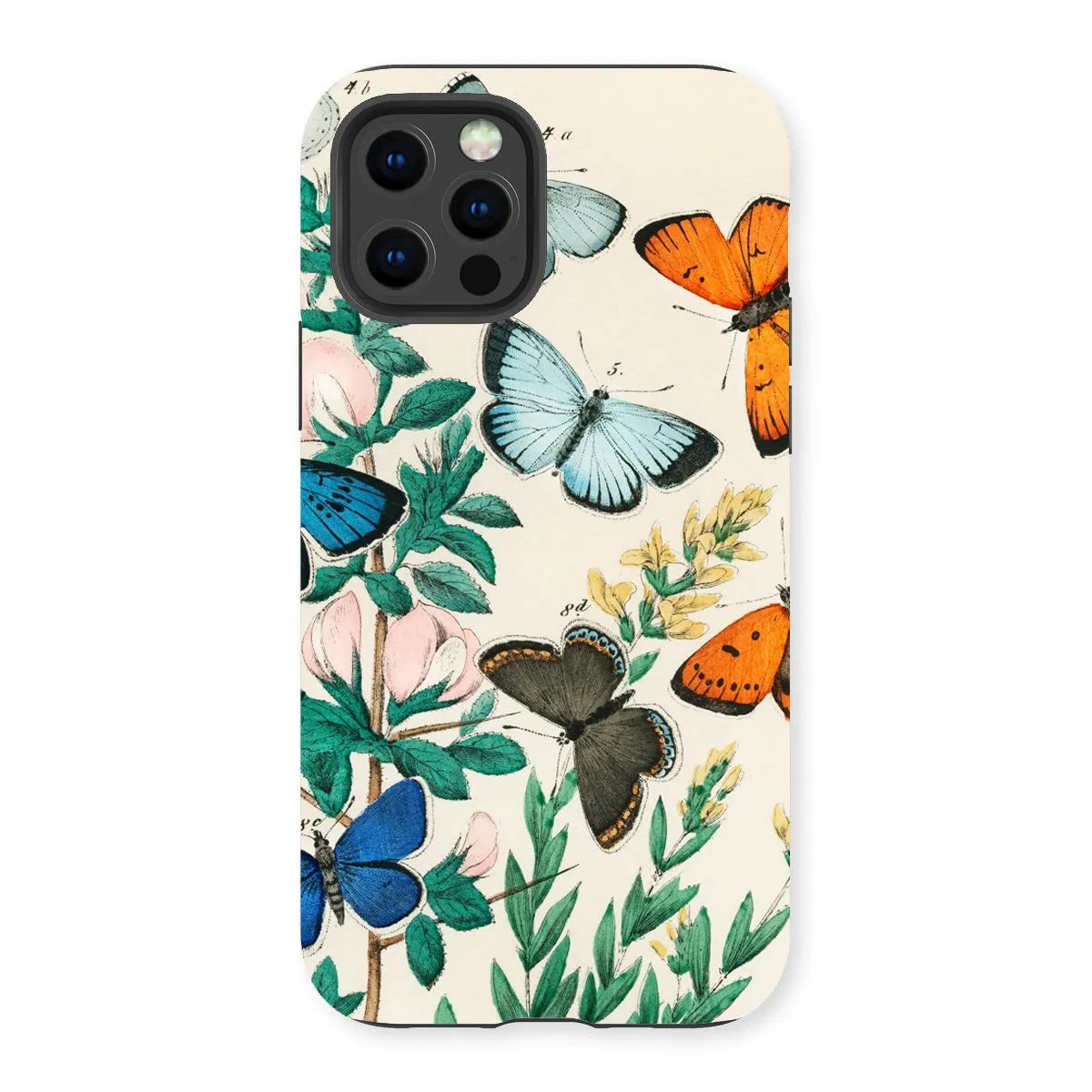 European Butterflies And Moths Art Phone Case - William Forsell Kirby - Iphone 13 Pro / Matte - Mobile Phone Cases