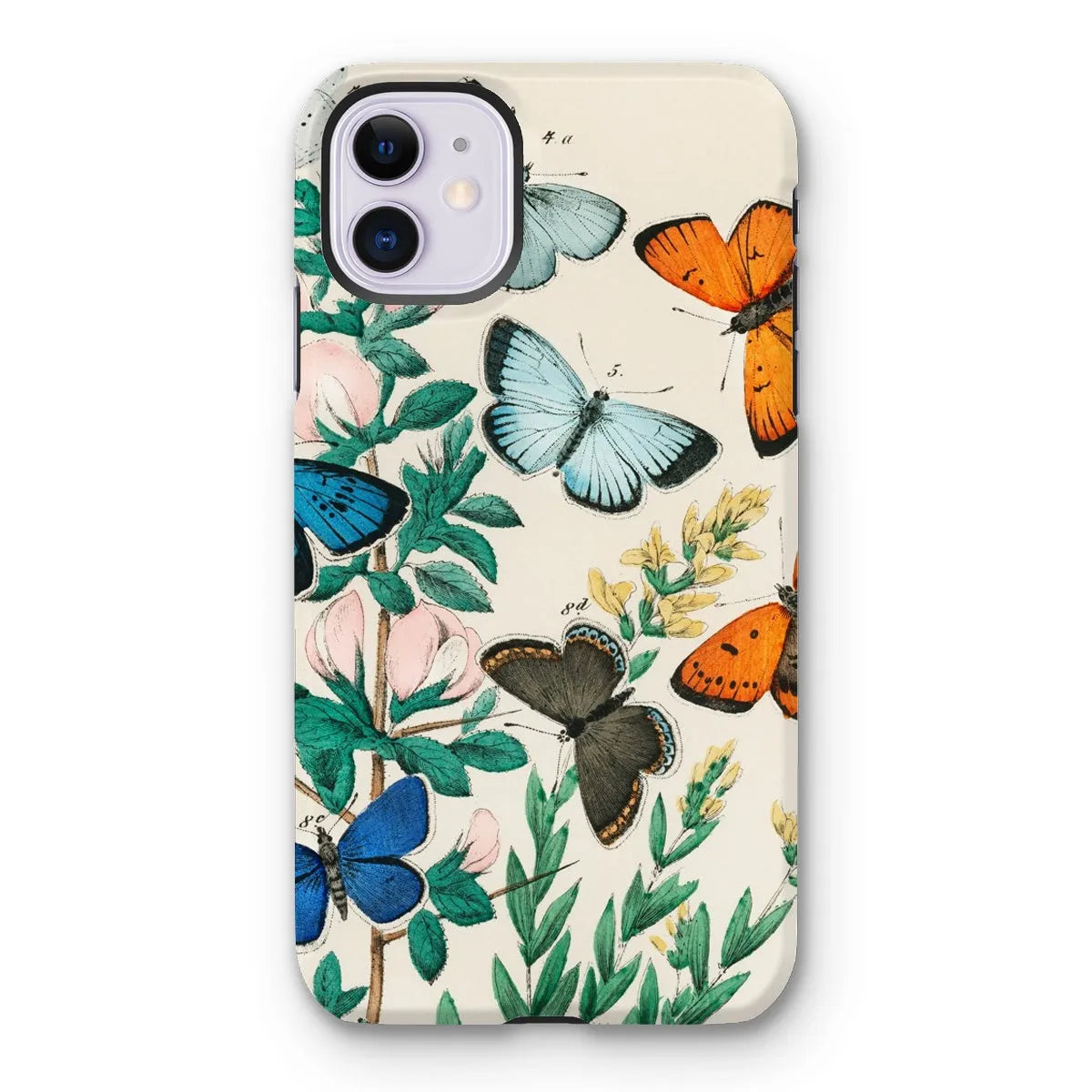 European Butterflies And Moths Art Phone Case - William Forsell Kirby - Iphone 11 / Matte - Mobile Phone Cases